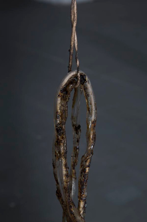 Amber and brown crisped tubing hangs from pink theraband elastic against a dark background.