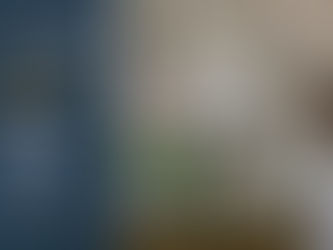 Trinity Episcopal Asheville: Holy Eucharist (February 12th at 10:45 a.m)