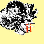 fullsizeoutput_2f5.jpeg