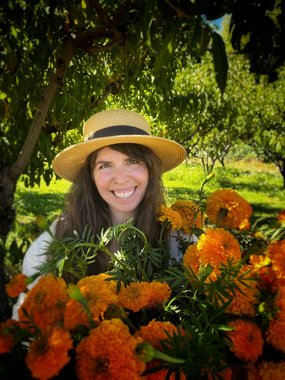 Mercado del Valle (Odell Farmer's Market)