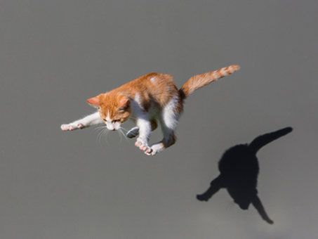 Agile is not just about processes and tools, it’s about communication and working together!