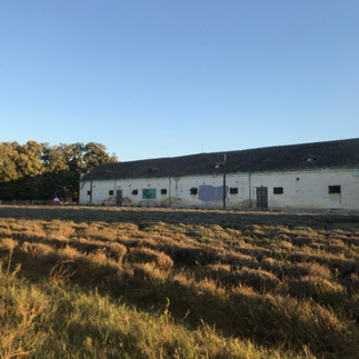 'The Barn' - main exhibition space of the Cetate Arts Danube