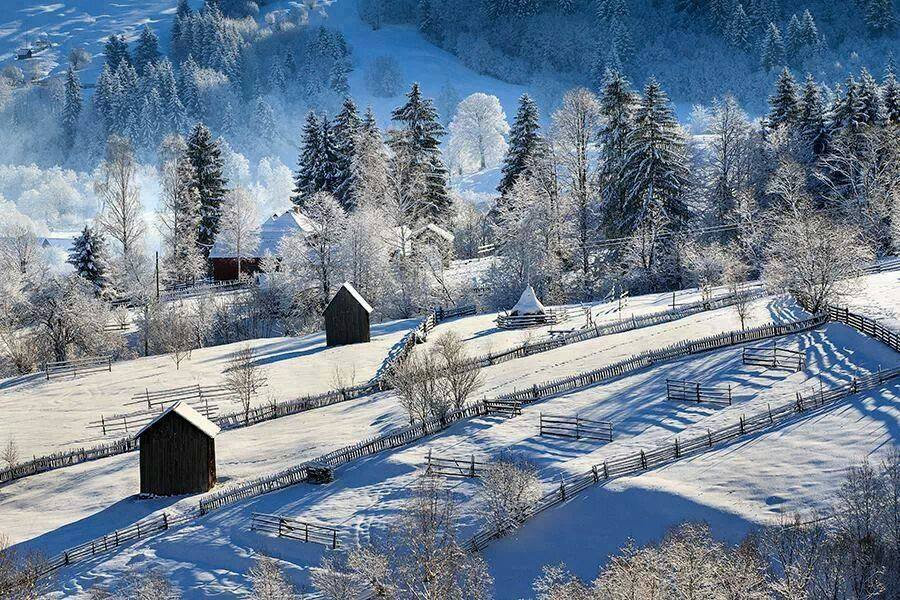 Unlocking 5 Centuries of Swiss Choral Gems: A Journey Through Tradition