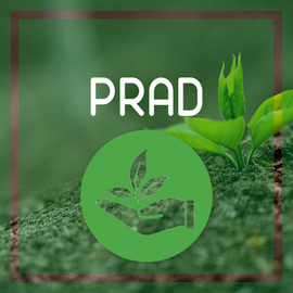 PRAD.png