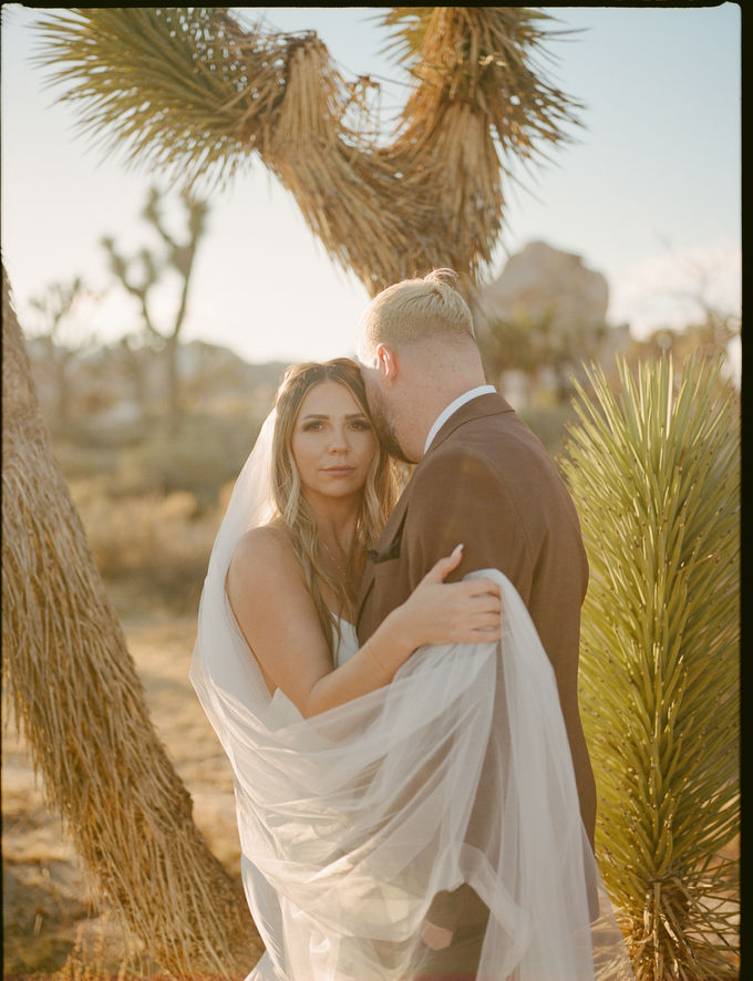 joshua tree film wedding elopement photographer palm springs
