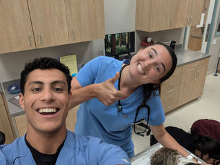 Weeks 9 and 10: Animal Care Clinic Externship! 
