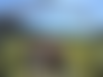 Y3S1 Week 7: Shock Simulation, Apple Hill, and Evermore Pet Food!