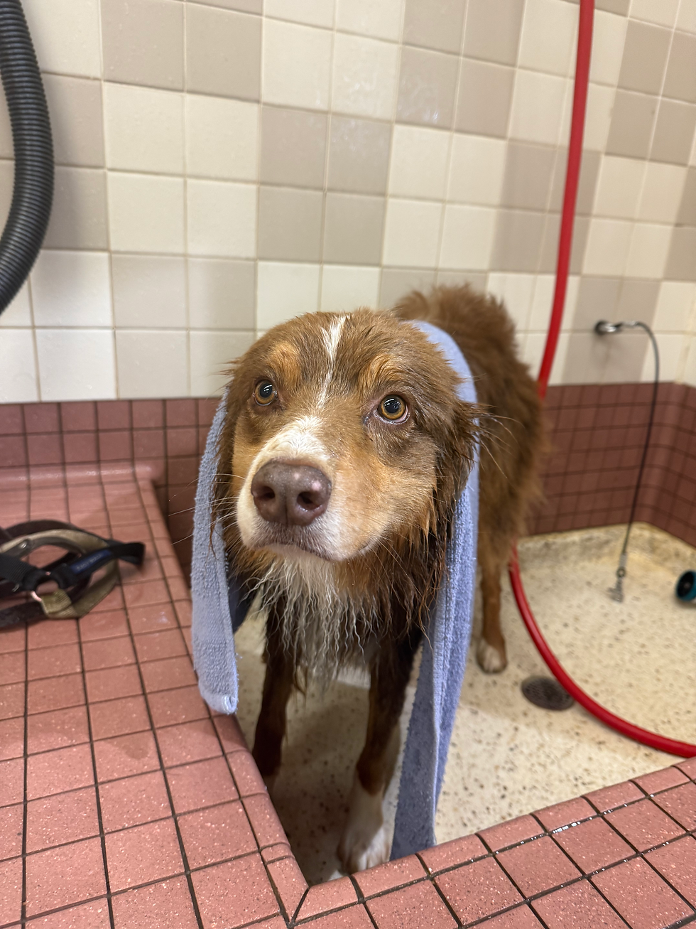 Spa day