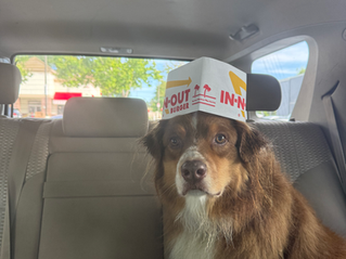Y4 Week 3: Business, Mock Negotiation, and Churro's Gotcha Day Celebration! 