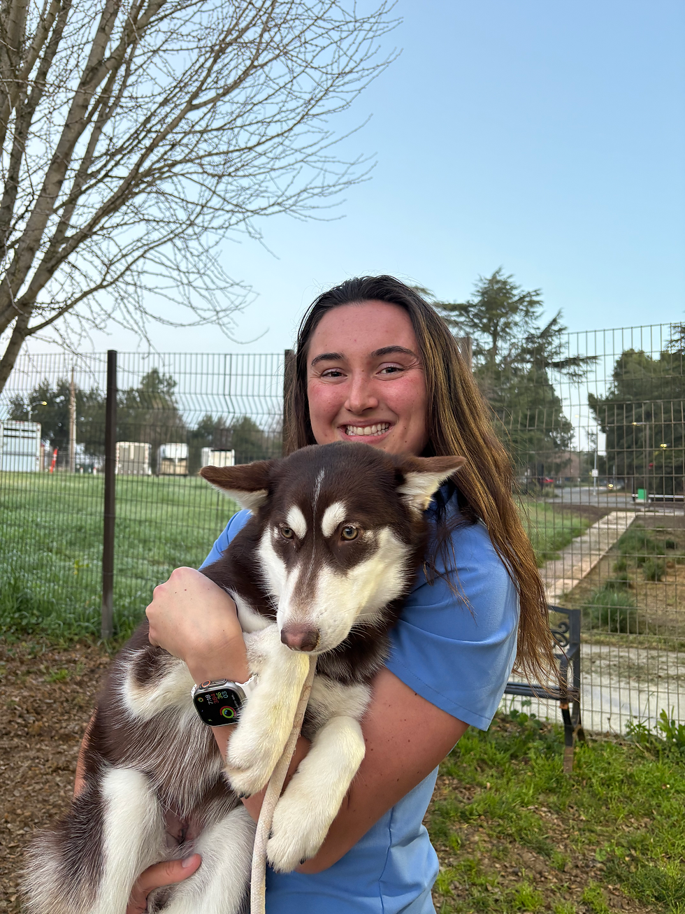 Y3S2 Week 2: Second Spay, Castle to Coast and a Weekend in SLO! 