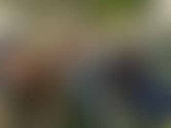 Y3S1 Week 9: Salmon Poisoning, Countless Infectious Diseases, and Joint Taps!  