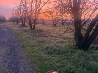 Y3S2 Week 4: Critical Incident Debrief, USDA Presentations and Cardio Final!