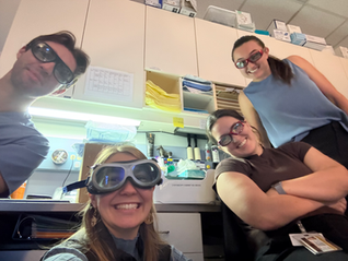 Y4 Weeks 5 and 6: Small Animal Internal Medicine Rotation!