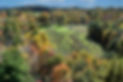 Land3.jpeg