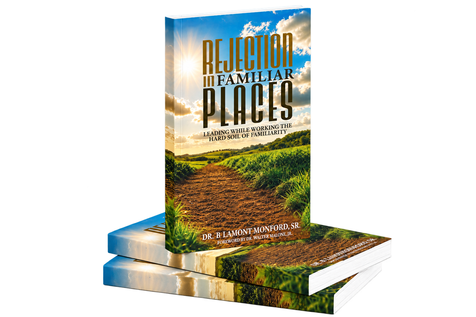 REJECTION IN FAMILIAR PLACES: Leading While Working The Hard Soil of Familiarity