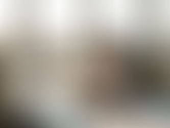 Legal counsel reviewing compliance documents in office