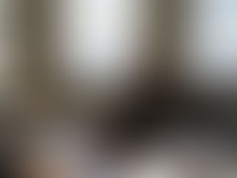 Corporate legal partner reviewing documents in office