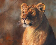 1-lioness-portrait-david-stribbling.jpg