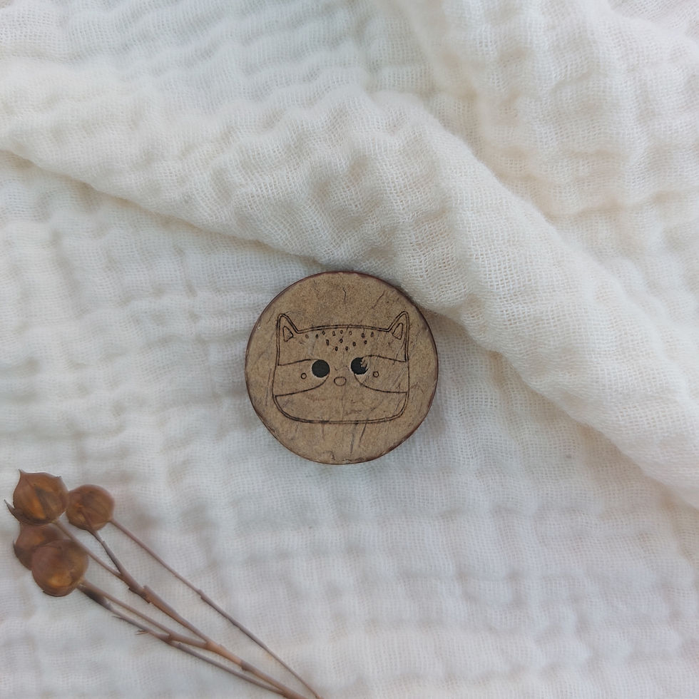 Kokosknopf - Waschbär 1