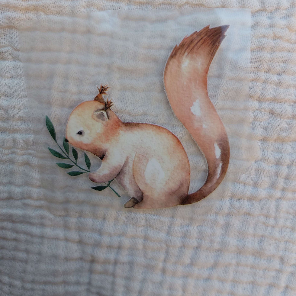 Bügelbild - Waldtiere Eichhörnchen