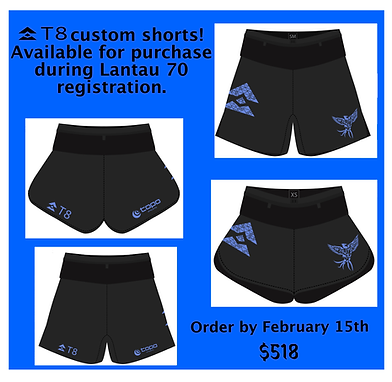 T8 Custom LT 70 2026.png