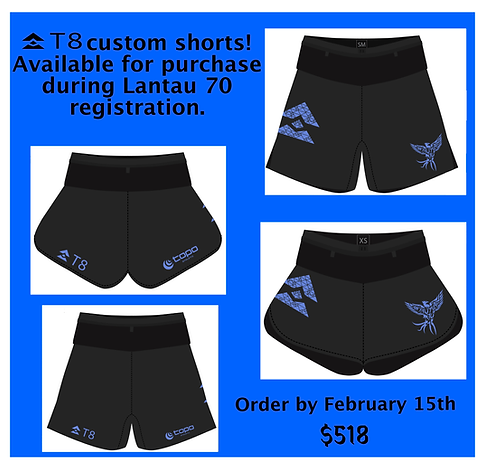 T8 Custom LT 70 2026.png