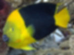 P4050681 1