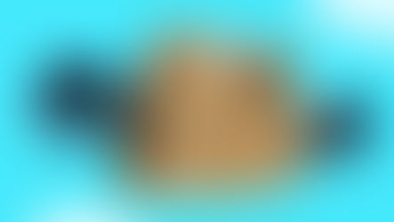 Amerika'ya Kargo Gönderen Firmalar