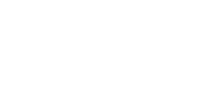 ЛШ СТРОЧКА толстая PNG ИНВЕРСИЯ.png
