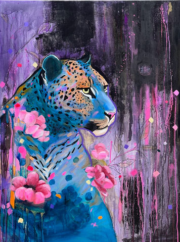 View Animal Collection