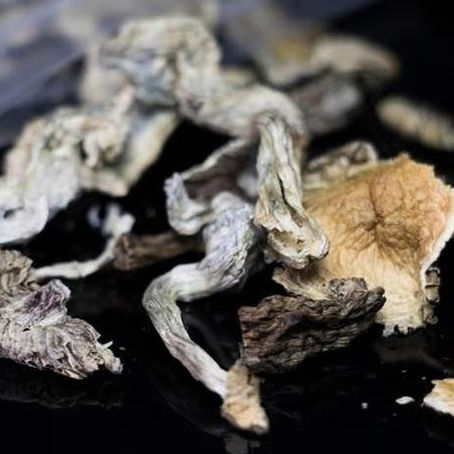 Psilocybin Shows Promise in Treating Depression