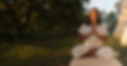 thefullseven_bannerimage.jpg