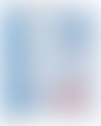 세월호추모정원, 소잃은외양간