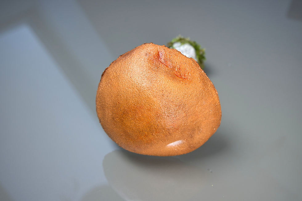 Miniaturbild: Pilzmodell Laubwald-Rotkappe, Leccinum rufum, handgemacht, FungiCarve, Pilzvergnügt, Stefan Marxer
