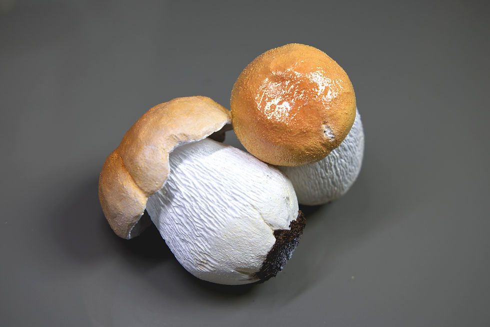 Miniaturbild: Pilzmodell Steinpilz, Fichten-Steinpilz, Boletus edulis, handgemacht, FungiCarve, Pilzvergnügt, Stefan Marxer