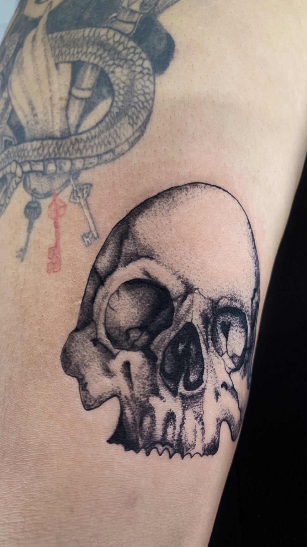 Tatuagem detalhada de caveira em estilo Blackwork no braço.