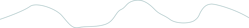 Vector 20.png