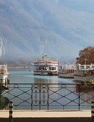 IMG_3960.jpg