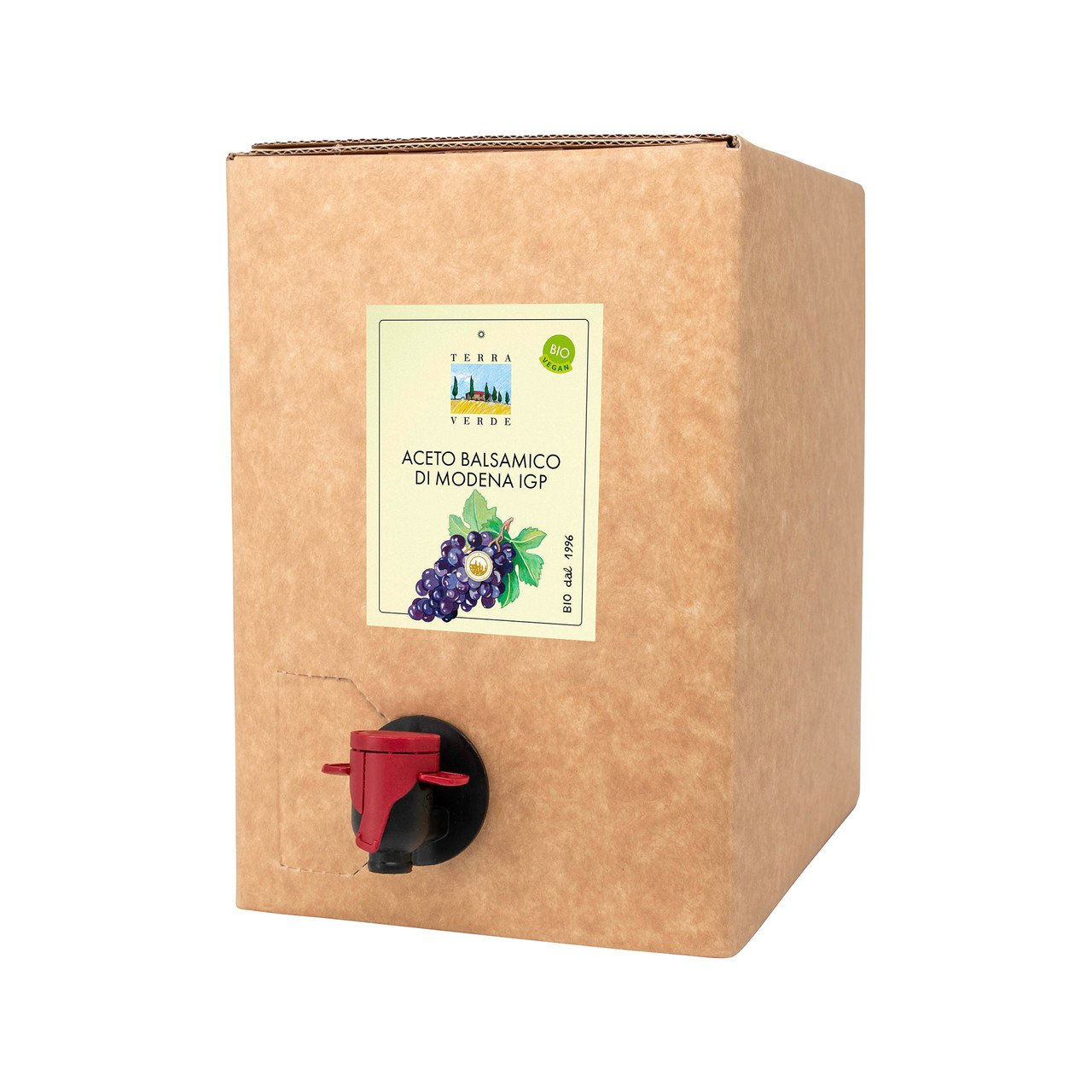 1x Aceto Balsamico di Modena IGP (Classico) 5000ml