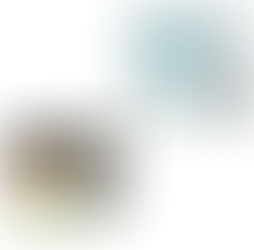 ボッチャ未来創生プロジェクト&ボッチャ体験会のお知らせ