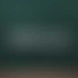 12月度（第8回）　大阪ボッチャ協会　地域練習会