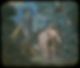 phodr038