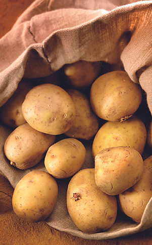 iStock_000001652243_72dpi.jpg