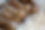 18216483_1225813587517779_7367461808043672931_o.jpg
