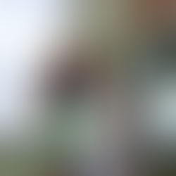 Finalmente Reiki Master Teacher