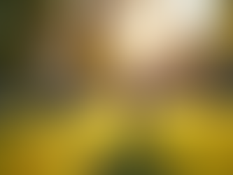 Engaging Activities to Keep Kids Entertained During Summer Vacation