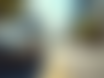 Understanding Rent-to-Own Car Programs on the Gold Coast