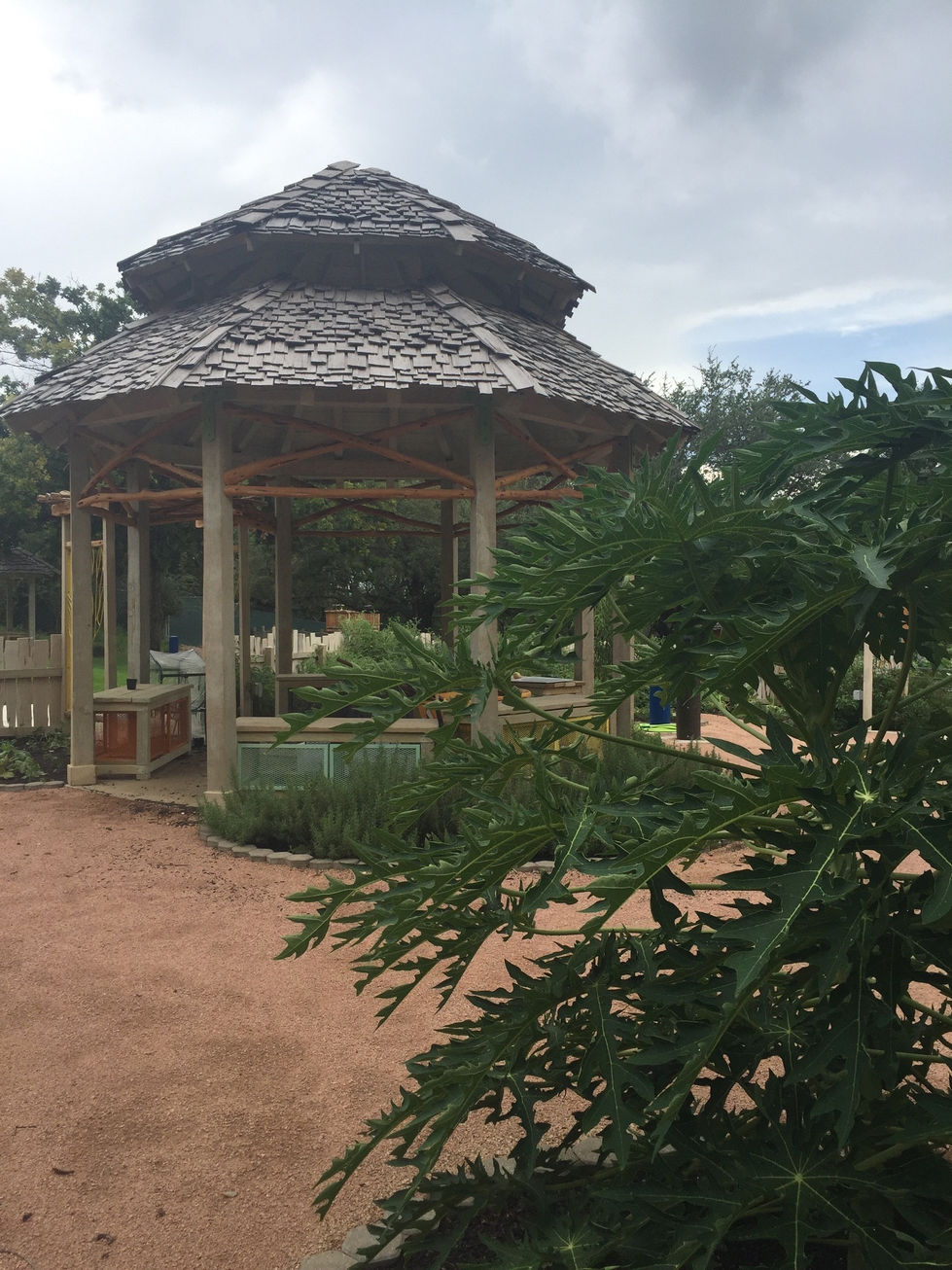 54A0EA3E-C5B4-4933-BD94-EA00A214090F