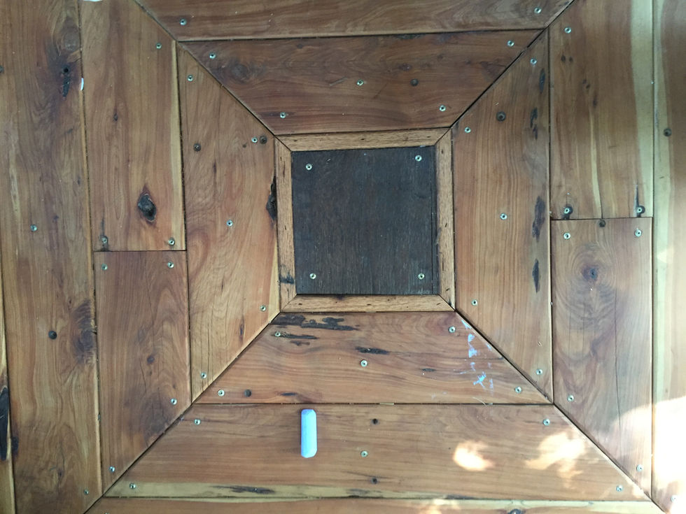 D29E747B-A727-4695-8F3A-40F3AD02B2AA