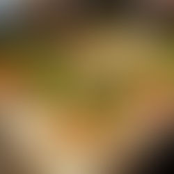 2-Month Anniversary!